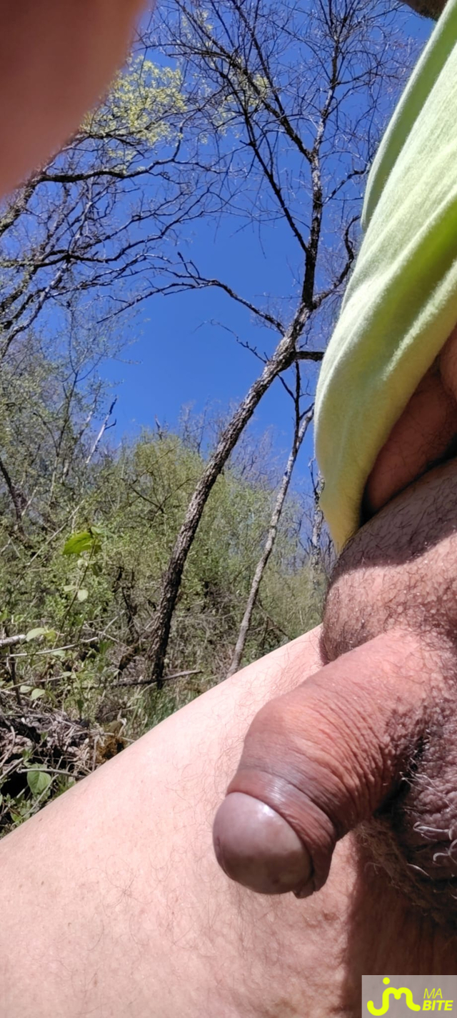 bites de Xof12