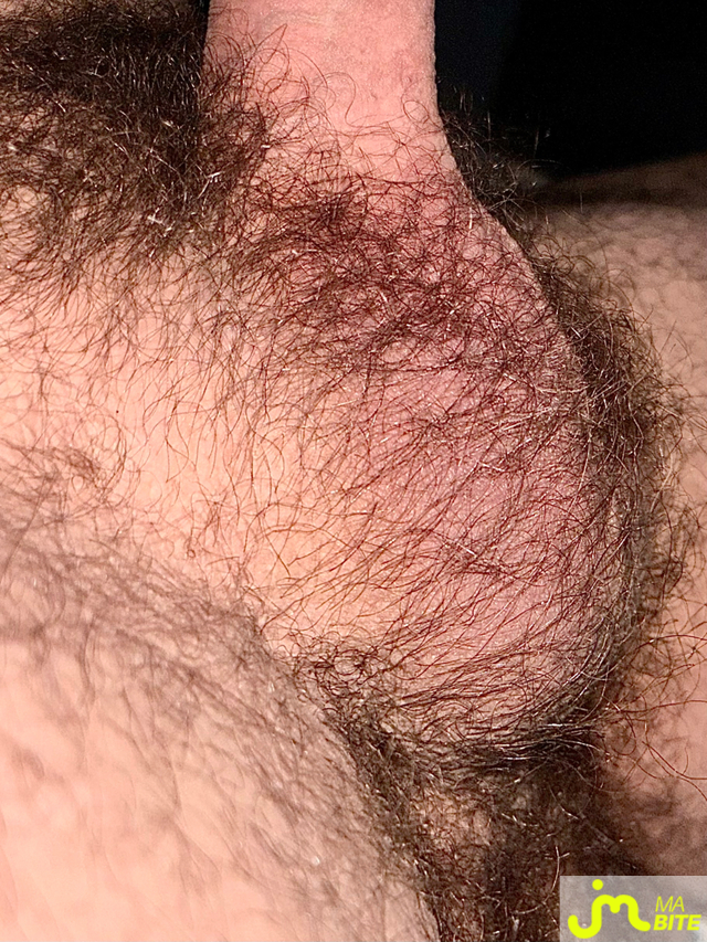 bites de Minicouilles