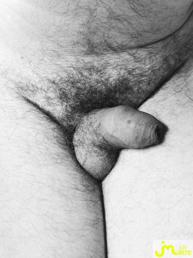 bites de PetitOiseau13