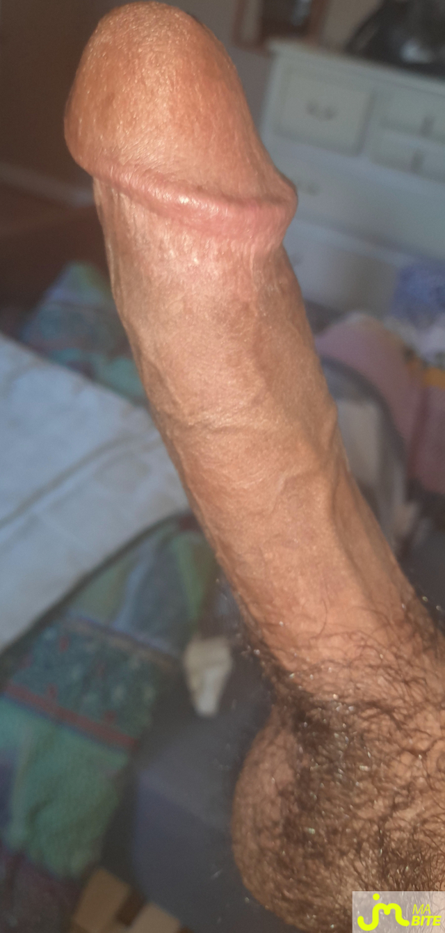 bites de Ericoup&eacute; 