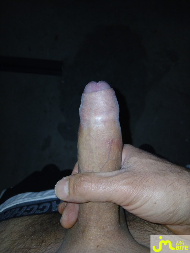 bites de Brun timide 01