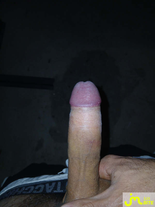 bites de Brun timide 01
