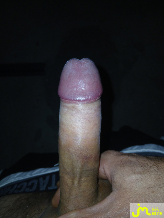 bites de Brun timide 01