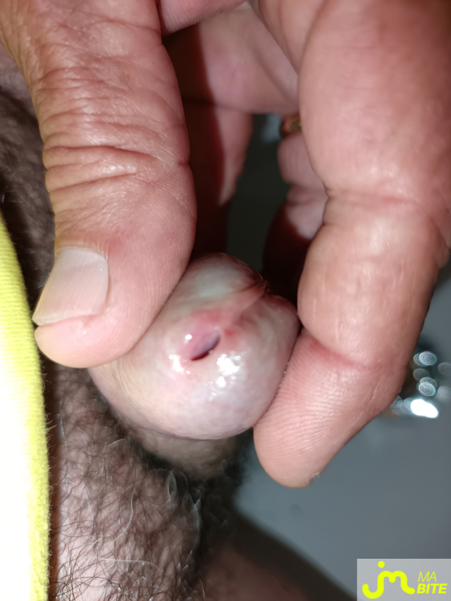 bites de Le Grand Houdini