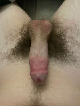 Photos de bites : Ma bite