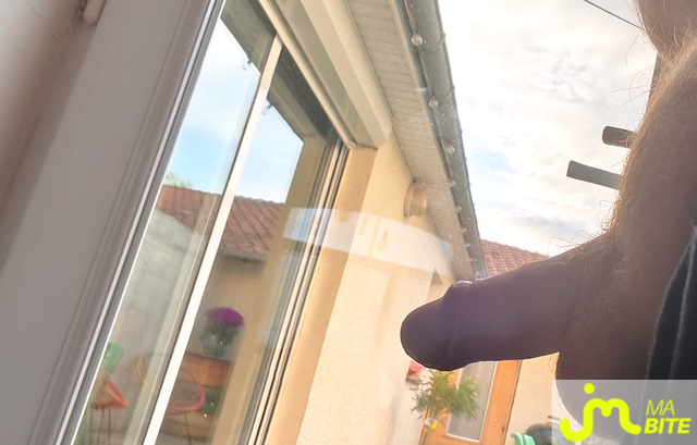 bites de Seblamant59