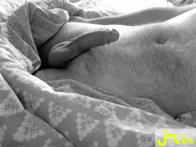 bites de Plaisir.......