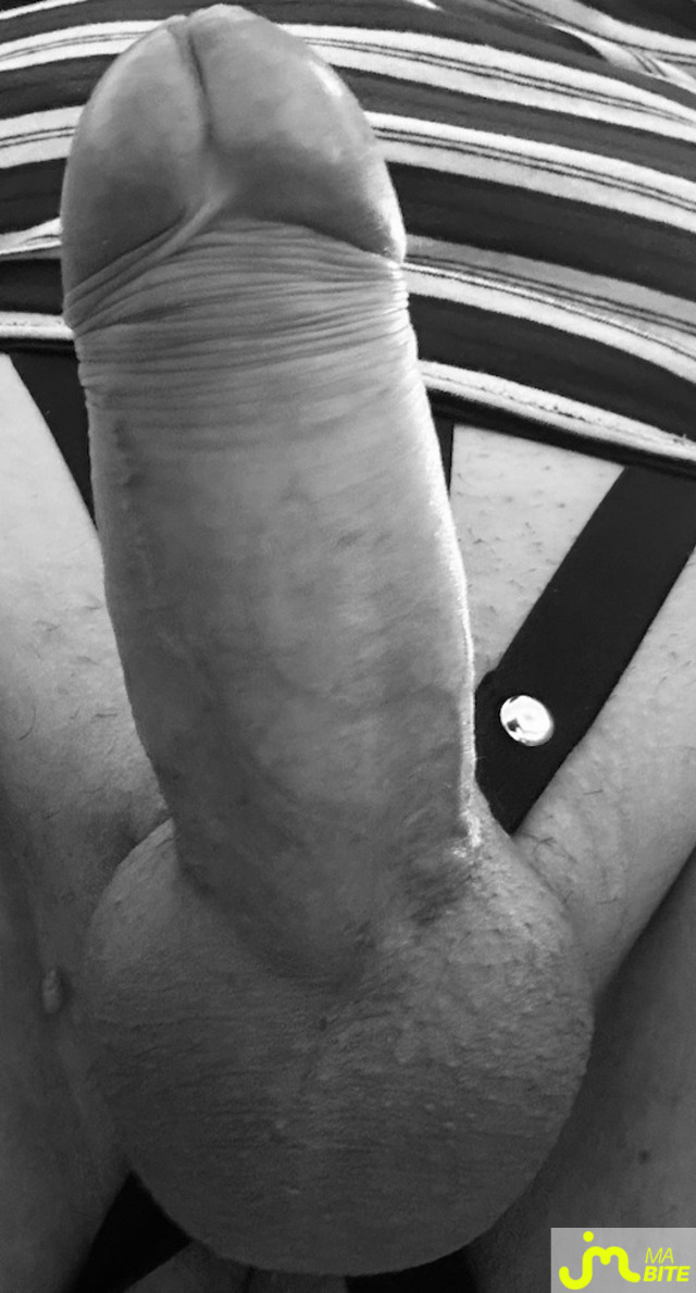 bites de Cylonpegasus