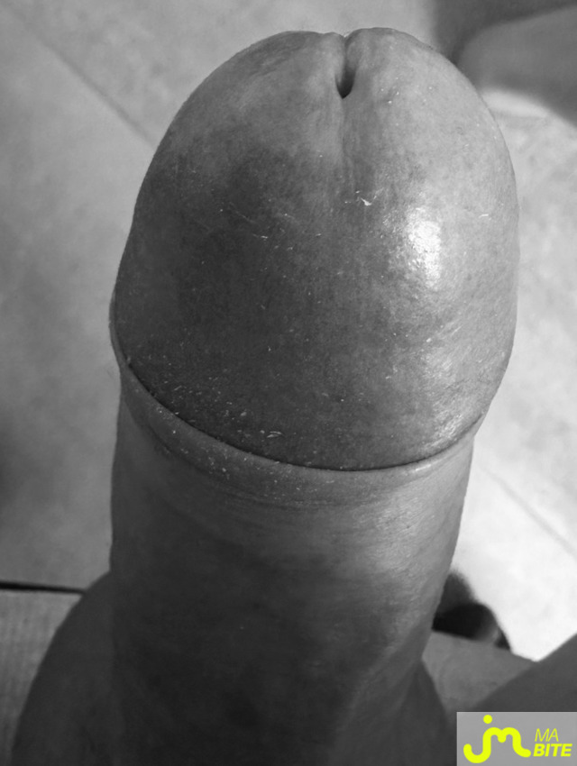 bites de Cylonpegasus