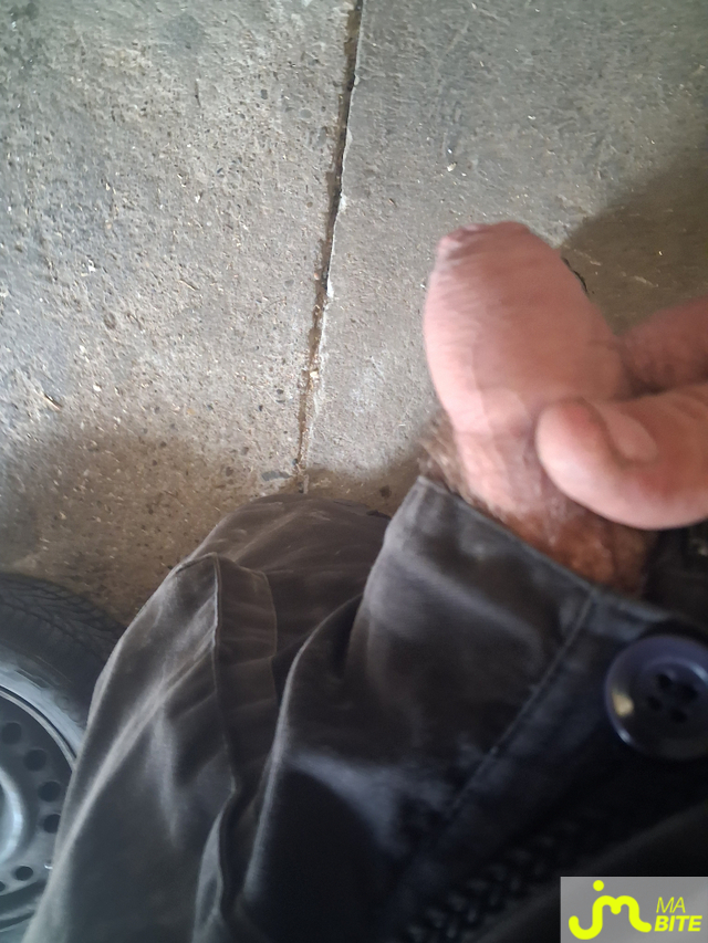 Photos de bites : Aux boulot