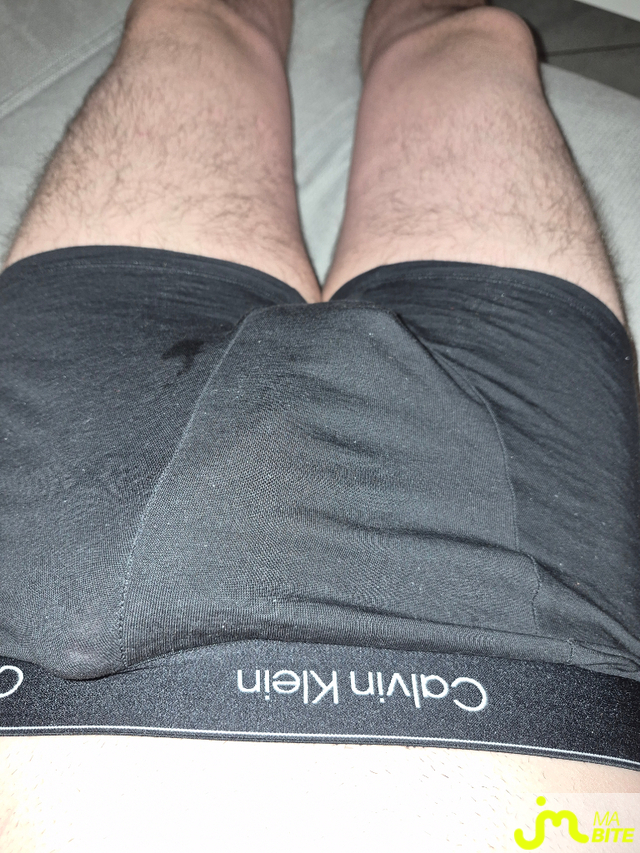 Photos de bites : Gaulle du matin 