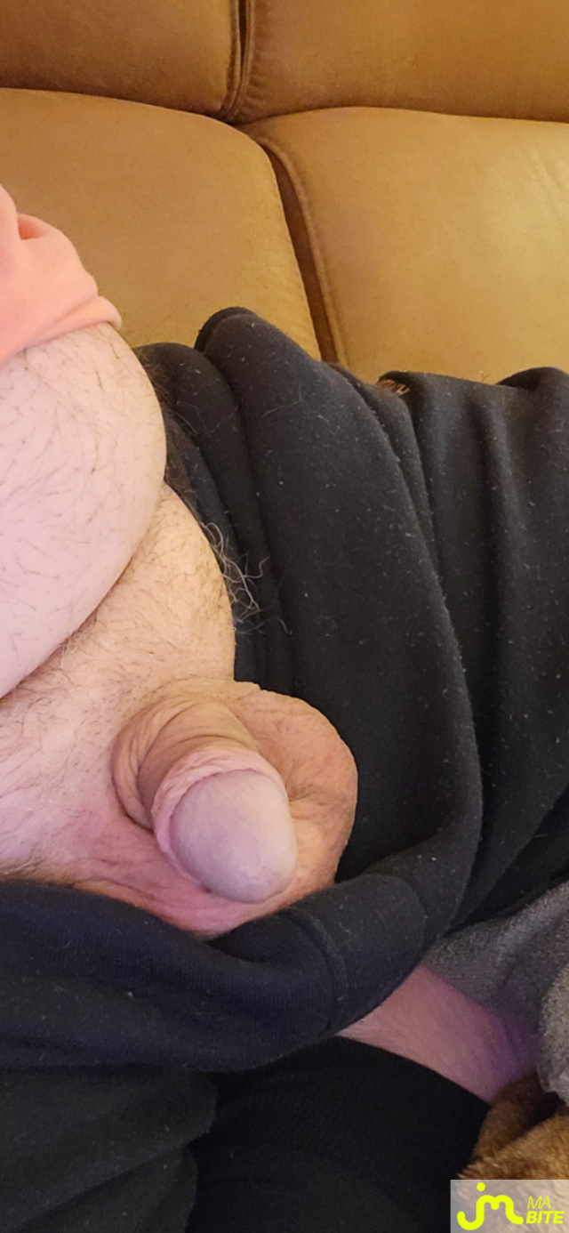 bites de murbitemole