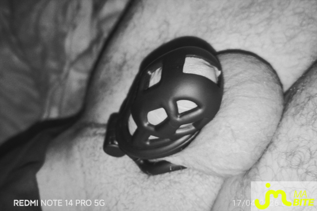 bites de Hub For&ecirc;ts 