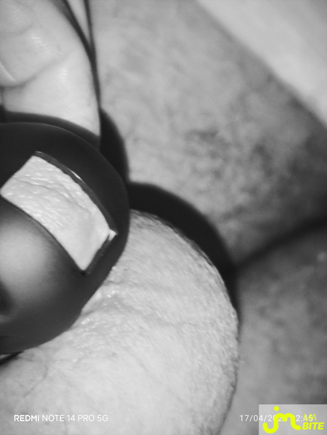 bites de Hub For&ecirc;ts 