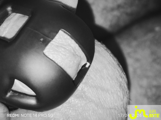 bites de Hub For&ecirc;ts 