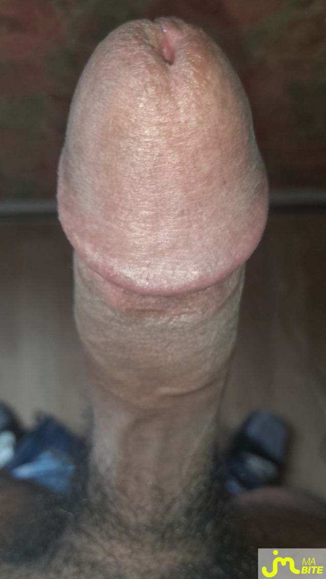 bites de Ericoup&eacute; 