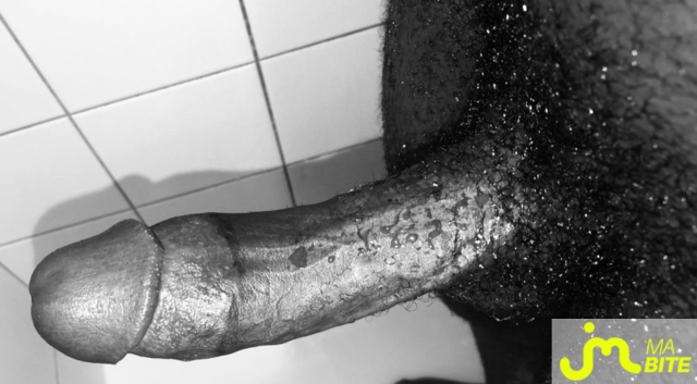 Photos de bites : En noir et blanc 🖤⚪️