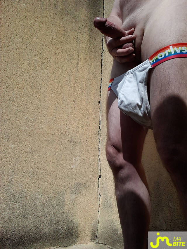 bites de BiteduVaucluse 