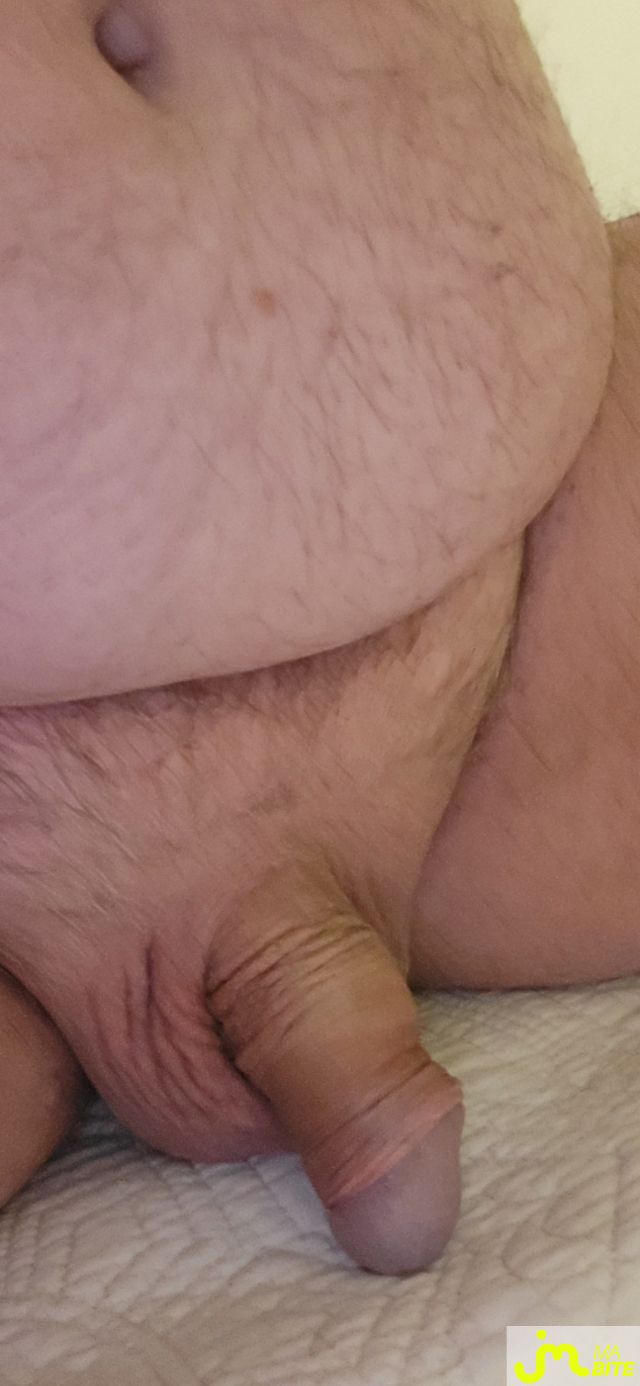 bites de murbitemole