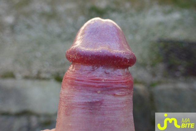 bites de pierrotdard