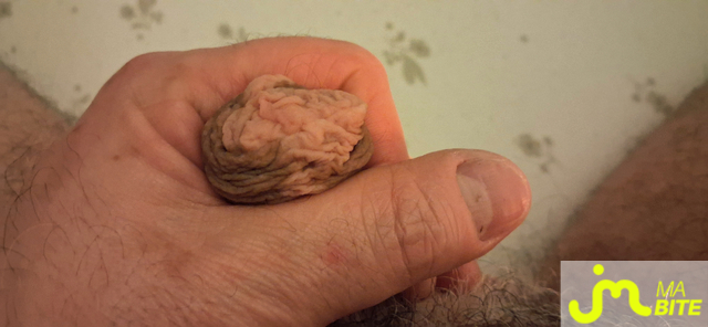 Photos de bites : &Eacute;closion du Printemps 😉