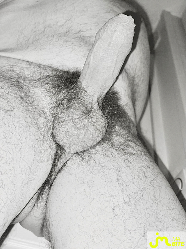 bites de Suceusedu31