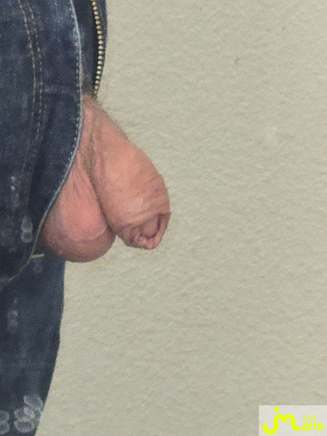 bites de Bibear