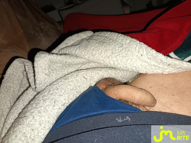 Photos de bites : Pov