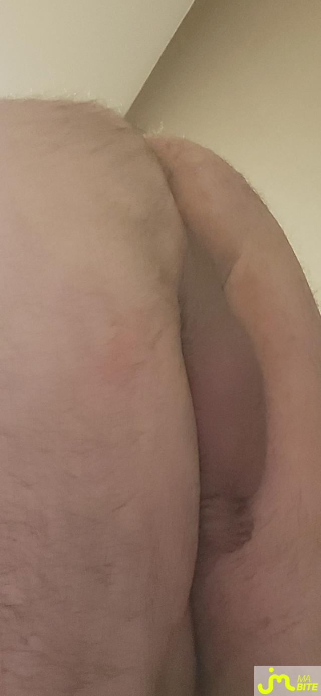 bites de murbitemole