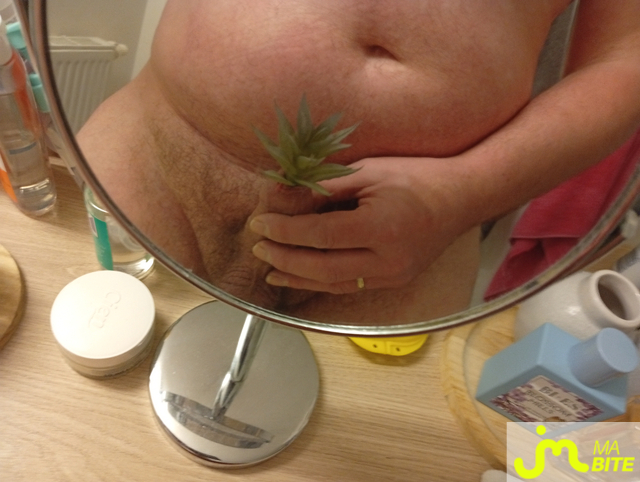 bites de Castration83