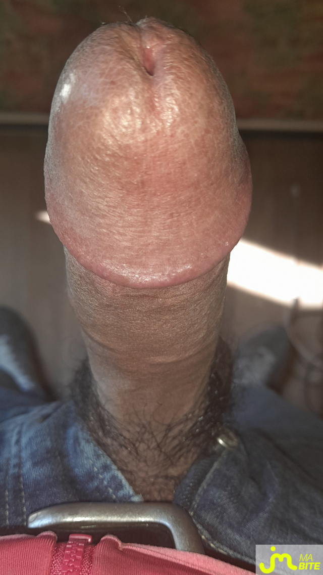 bites de Ericoup&eacute; 