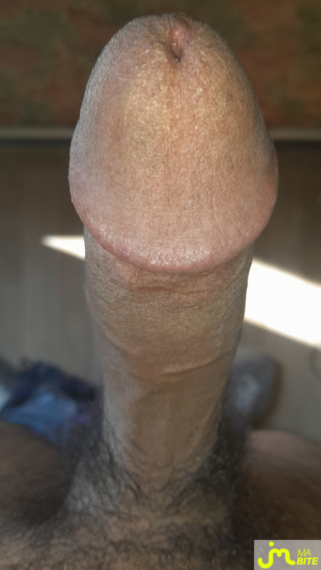 bites de Ericoup&eacute; 