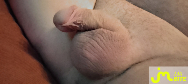 bites de Lezizoudu11