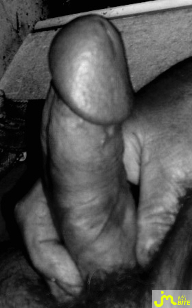 Photos de bites : L&rsquo;ombre et la lumi&egrave;re &hellip; qui a t&rsquo;il derri&egrave;re ?