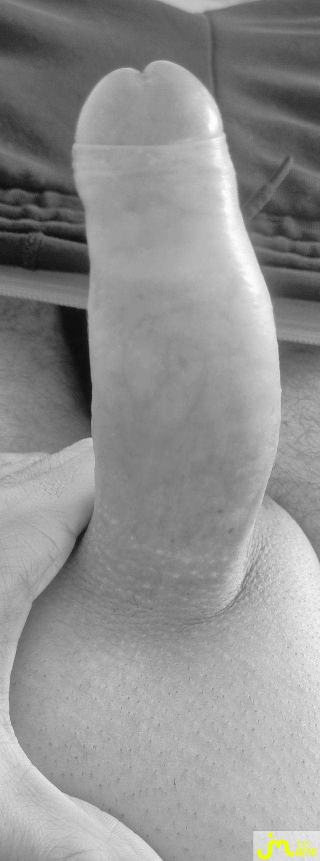 bites de coquindu766