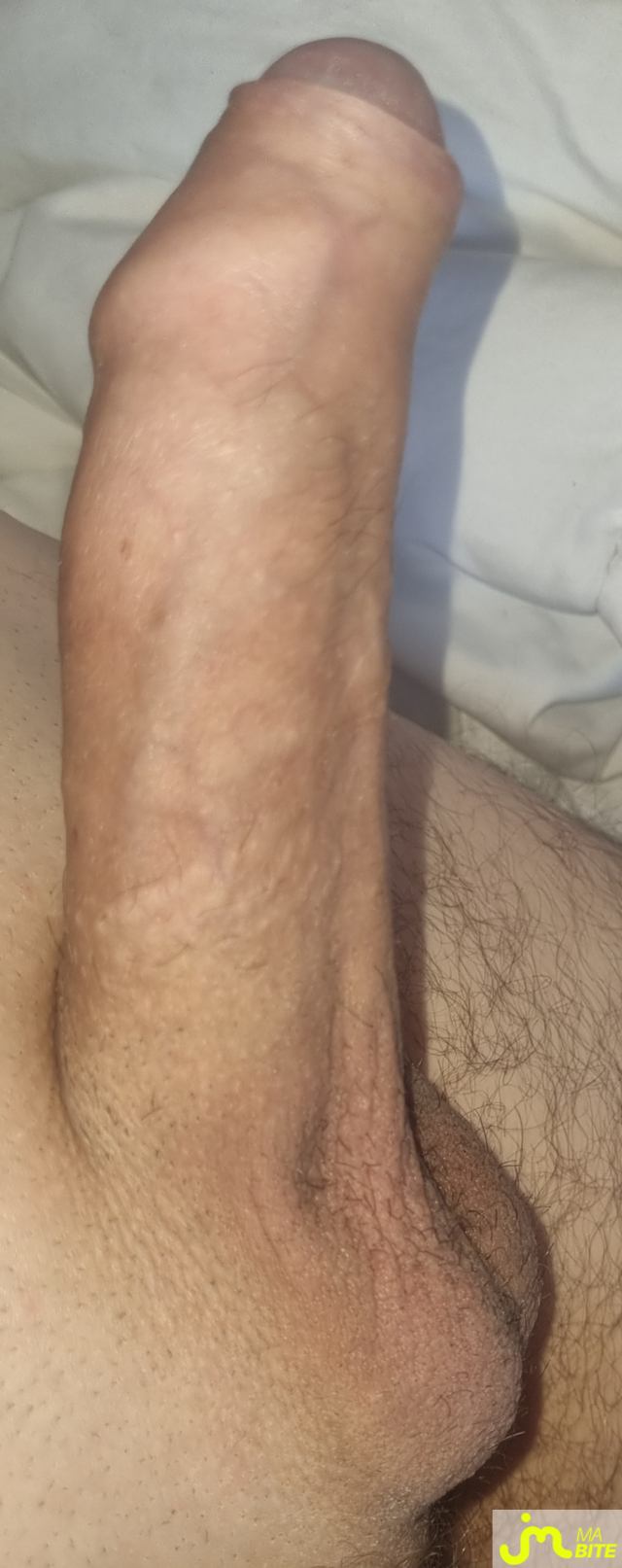 bites de coquindu766