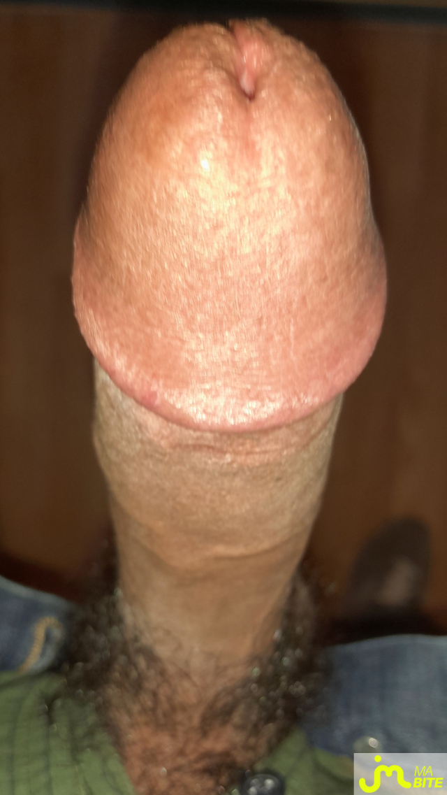 bites de Ericoup&eacute; 