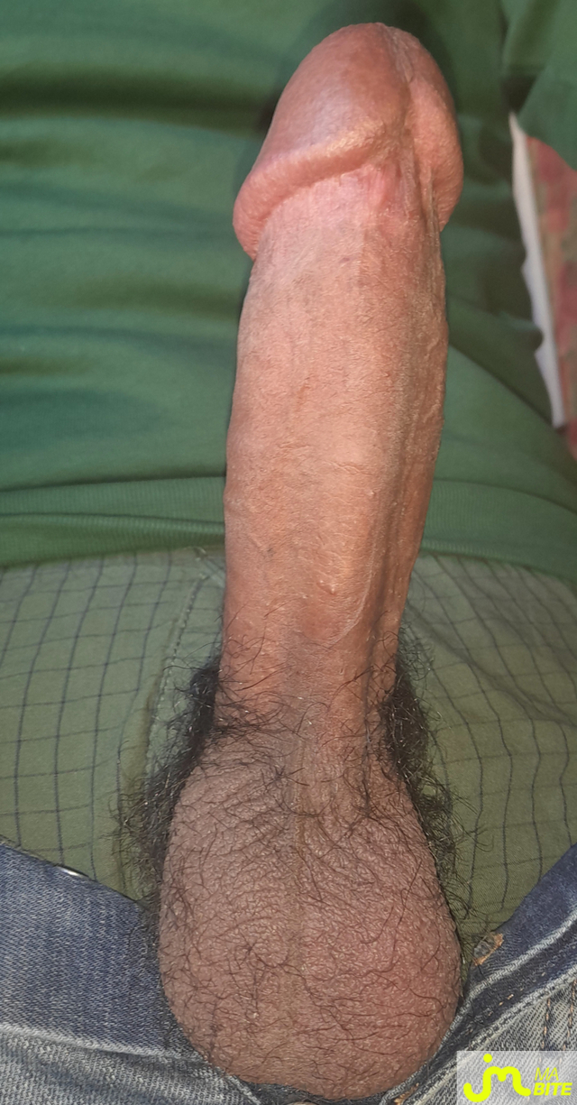 bites de Ericoup&eacute; 