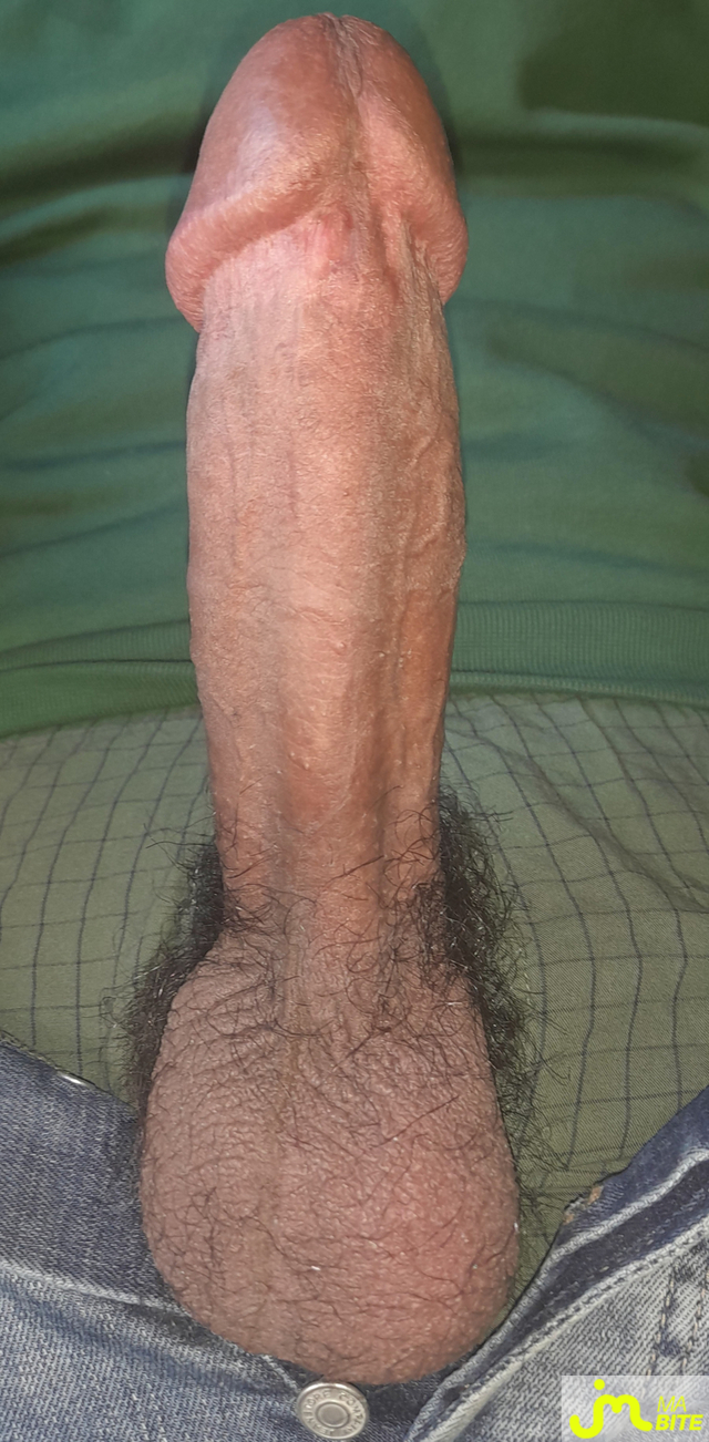 bites de Ericoup&eacute; 