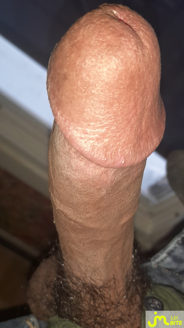 bites de Ericoup&eacute; 