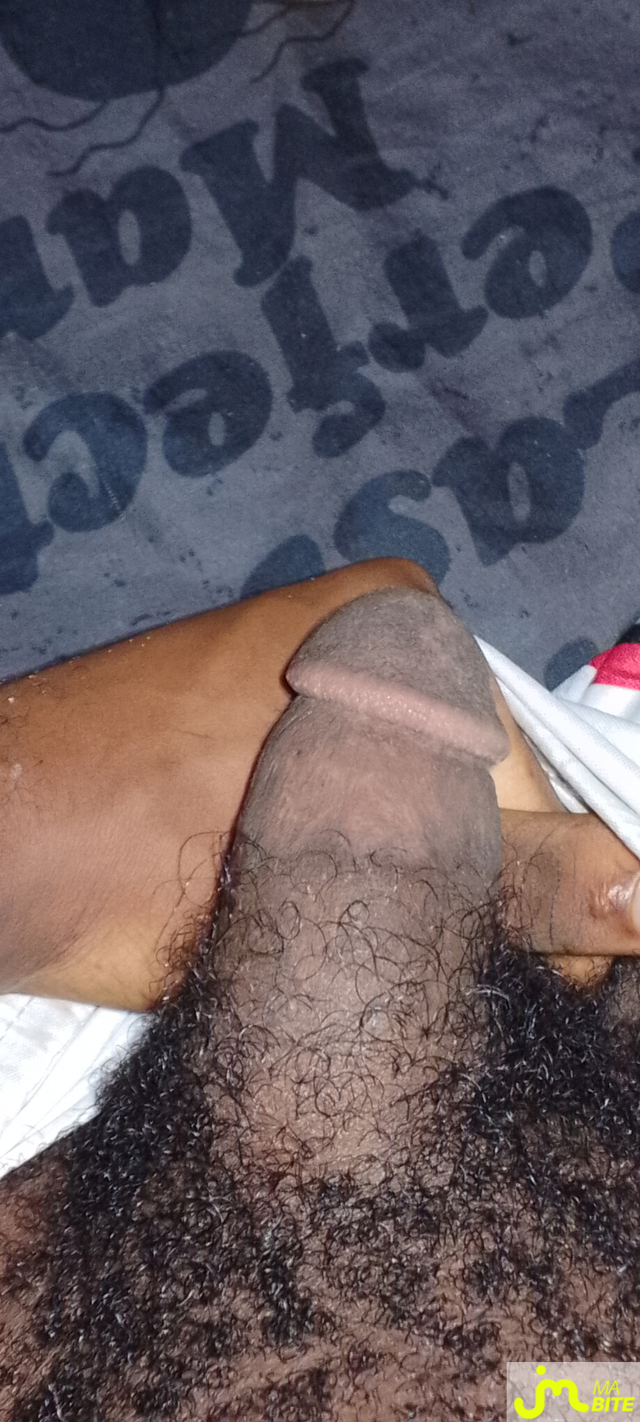 Photos de bites : Pensez-vous qu'il fait 16 cm; plus de 16 ou moins de 16 ?