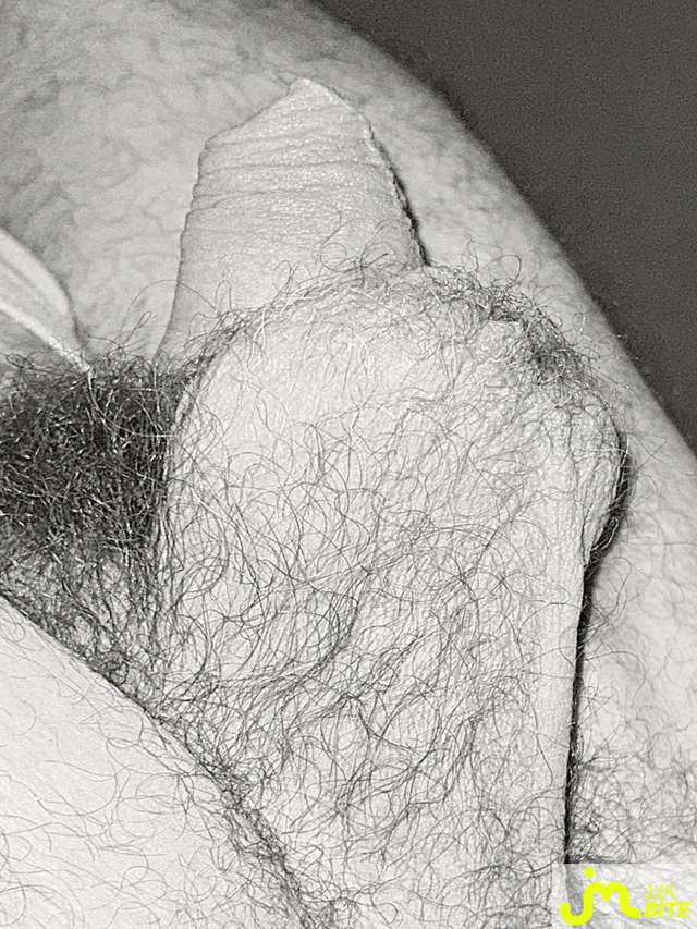 bites de Suceusedu31