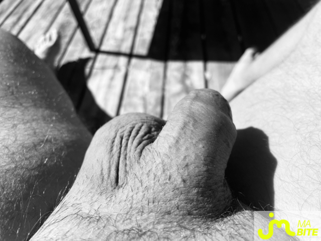 bites de biteduqu&eacute;bec