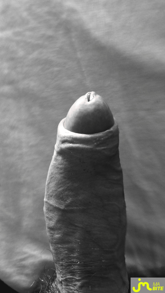 Photos de bites : Nouveaux jeux de lumi&egrave;re 