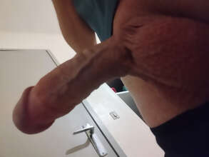 Photos de bites : Bulge nord