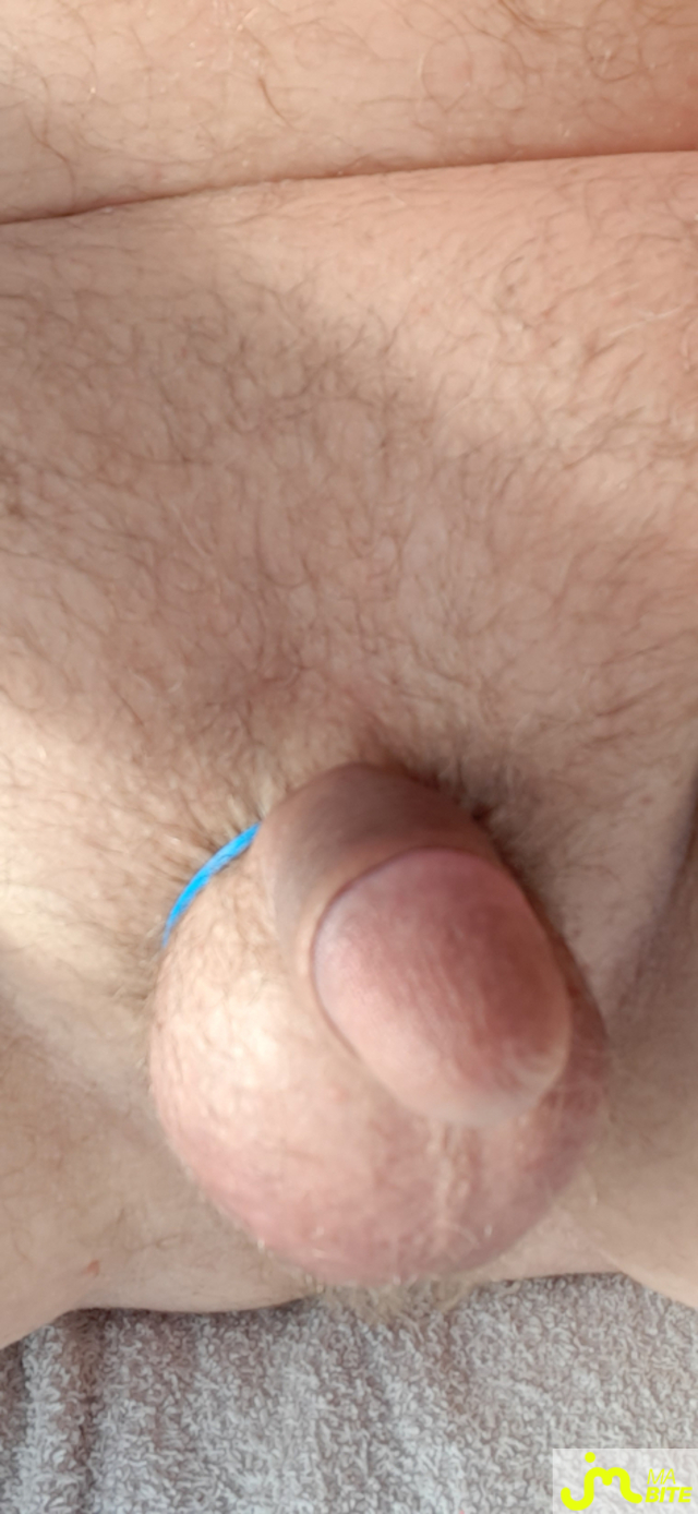 bites de mapou38