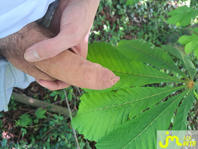 bites de Leobigstick