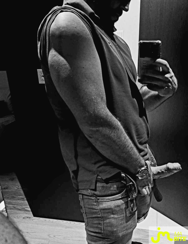 Photos de bites : De retour en 2026