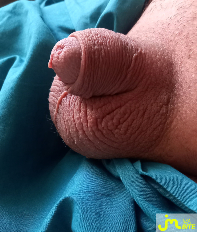 bites de diable666 