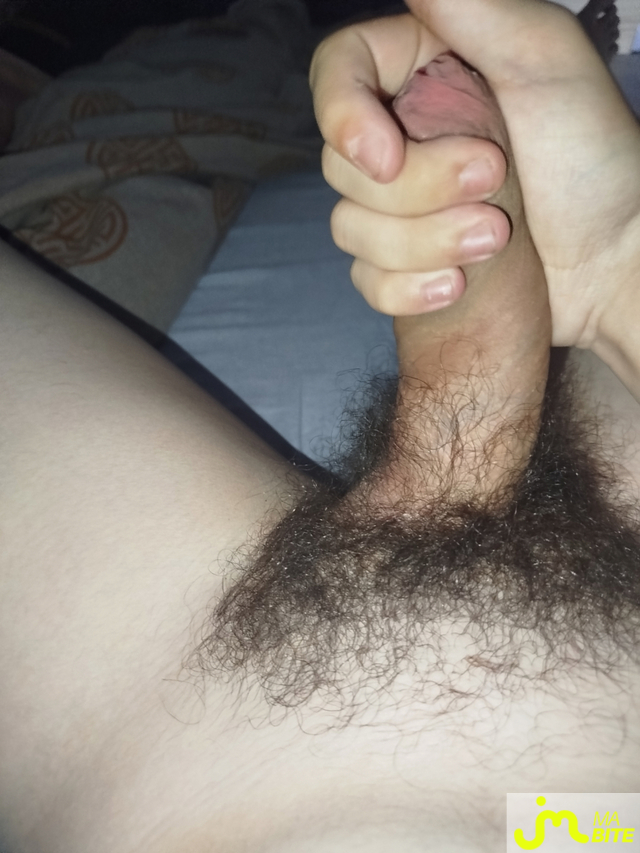 bites de Maxdecm